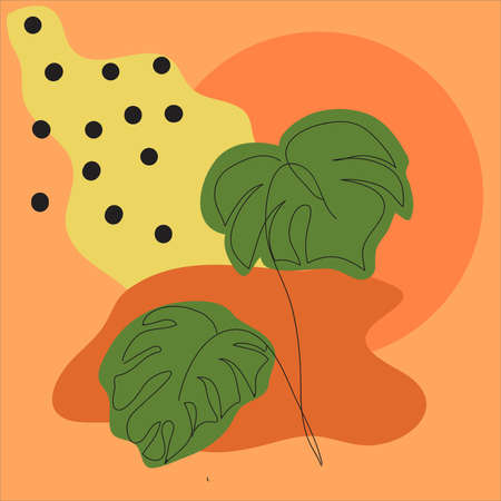 Hand drawn of nature abstract for decorationのイラスト素材