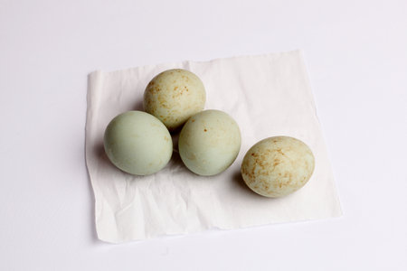 Close-Up Of fresh Duck Egg On Table