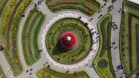 Top view of beautiful flower garden in the middle of the city