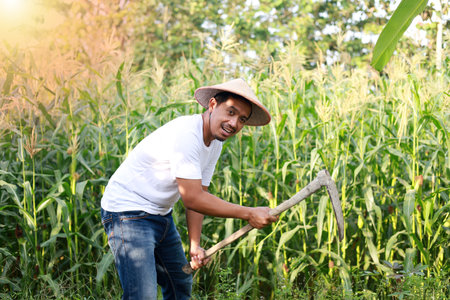 Happy asian farmer working with a hoe in the plantationの写真素材