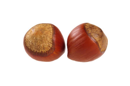 Two unpeeled hazelnut isolated on white backgroundの写真素材