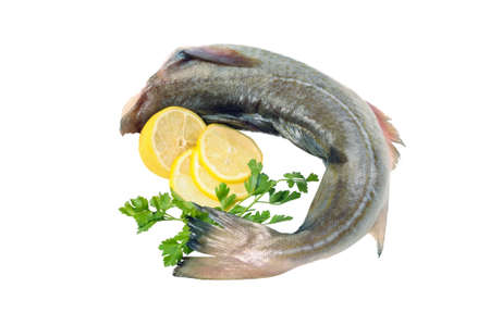 Raw fish, decorated with lemon and herbs. Isolated on white.