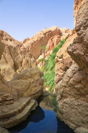 River between rocks in the oasis of Tozeur. Tunisia, Africa.