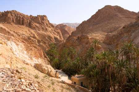 An oasis in the mountainous part of the Sahara desert - Tozeur. In the cleft of the mountain rising palm forest.の写真素材