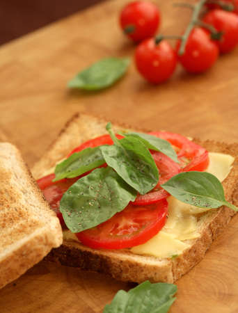Sandwich with a tomato and cheeseの写真素材