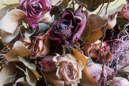 Bouquet from dry rosesの写真素材