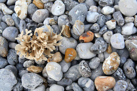 Beach stones close up
