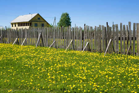 Beautiful rural landscape with a small house, a tree, a wooden fence and a green meadow with yellow flowers in a summer sunny dayの写真素材