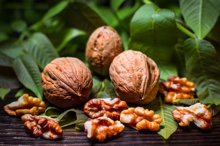 Walnuts and kernels with leaves on dark vintage tableの写真素材