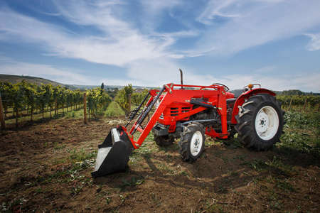 Tractor on the vineyard, Autumn grape harvest in Moldova