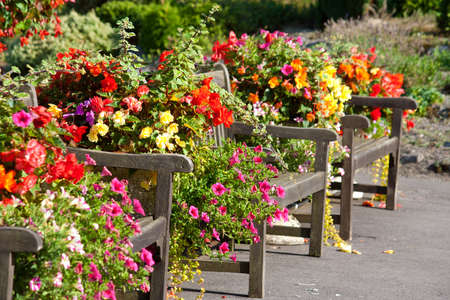 Benches and flowers in a park in Uk.