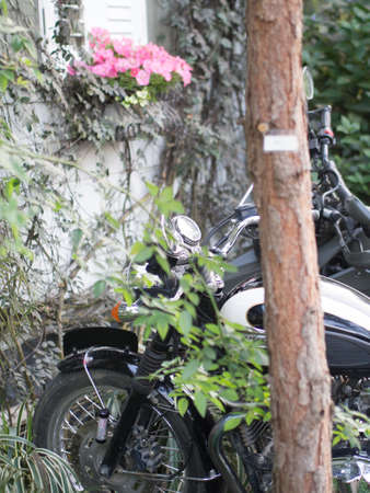 Lovely flowers in a garden and motocycle.の写真素材