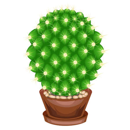 Color picture. Potted plant in a pot. The green cactus is spherical with tubercles covered with spines. Mammillaria, hymnocalicium. Lovely hobby for collectors of cacti. Vector illustration.のイラスト素材