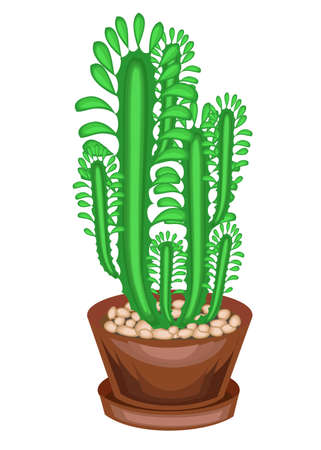 Potted plant in a pot. A few greens of branches of a succulent, a cactus. High vertical stems with facets and spines. Lovely hobby for collectors of cacti. Vector illustration.のイラスト素材