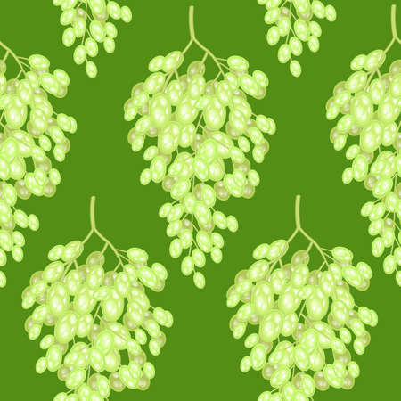 Bunch of grapes on a background. A fancy pattern. Suitable as wallpaper in the kitchen and background for gift wrapping. Vector illustration.のイラスト素材