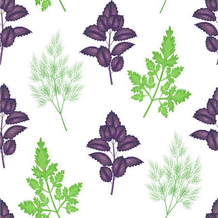 Seamless pattern. Spices. Parsley, basil and dill are necessary for cooking. Suitable as wallpaper in the kitchen, packaging for food. Vector illustration.のイラスト素材