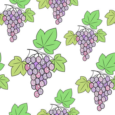 Bunch of grapes on a background. A fancy pattern. Suitable as wallpaper in the kitchen and background for gift wrapping. Vector illustration.のイラスト素材