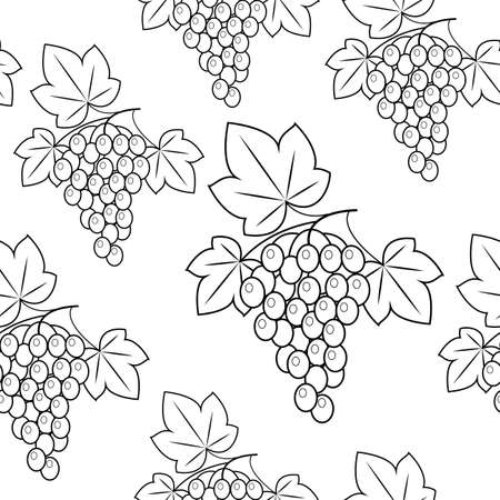 Bunch of grapes on a green background. Beautiful pattern. Gift wrap. Vector illustration.のイラスト素材