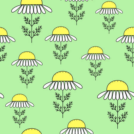Daisies on a green background. Suitable as a texture for gift wrapping. Vector illustration.のイラスト素材