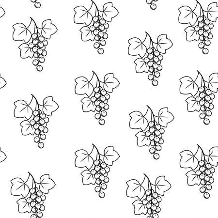Twig currant on a white background. Nice picture. Gift wrap. Suitable for wallpaper in the kitchen. Vector illustration.のイラスト素材