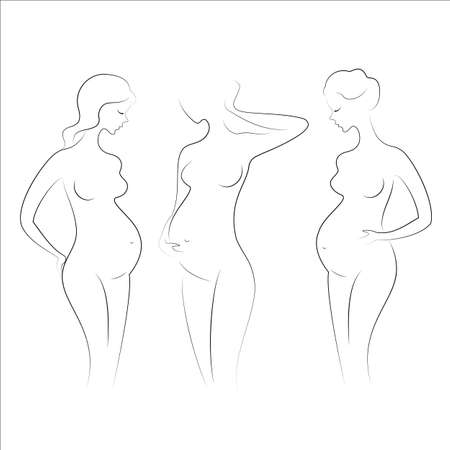Silhouettes of pregnant ladies. Young girls stand in different poses. The figures of women are nude, feminine and elegant. Vector illustration.のイラスト素材