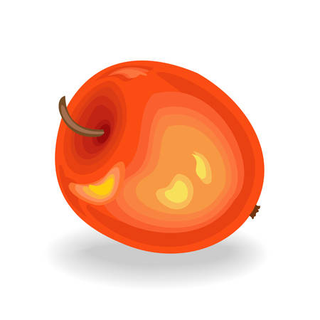 Sweet juicy apple. Fruit for every taste. Exquisite food. The source of vitamins and trace elements. Vector illustrationのイラスト素材