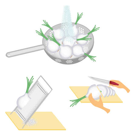 Collection. Juicing. Grate the onions, squeeze and pour into a glass. Liquid for health. Sliced onions on a plate. Vector illustration set.のイラスト素材