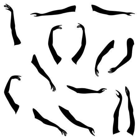 Women s hands. Beautiful graceful silhouettes. Collection. Vector illustration of a setのイラスト素材