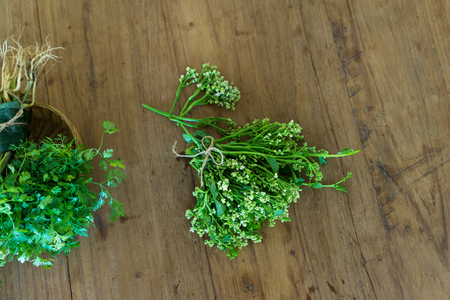 fresh herbs and spices on wood tableの写真素材