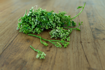 fresh herbs and spices on wood tableの写真素材