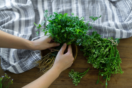 fresh herbs and spices on wood tableの写真素材