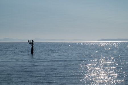 Beautiful seascape in the morning light. Sea and sky.の写真素材