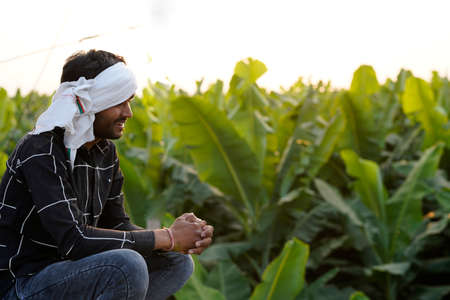 Young indian farmer sitting on the field and looking at the sunの写真素材