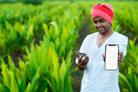 Young indian farmer showing debit or credit card at his green agriculture field, using mobile phoneの写真素材