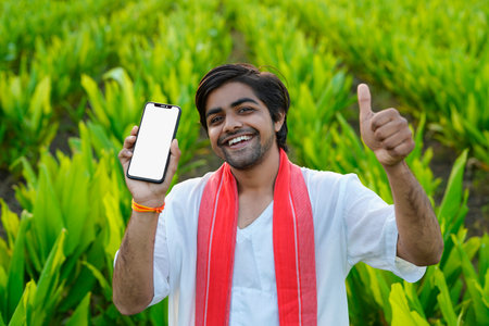 Indian farmer showing smart phone screen at green turmeric agriculture field.の写真素材