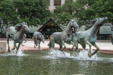 Mustangsの写真素材