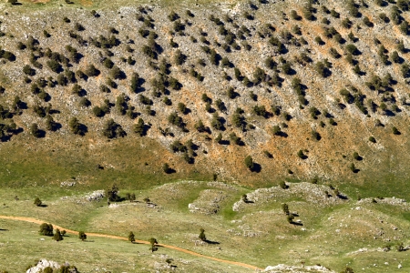 view of the valley with trees from a great heightの写真素材