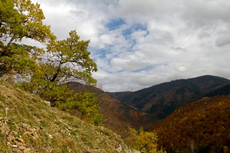Autumn in the mountains of the North Caucasusの写真素材