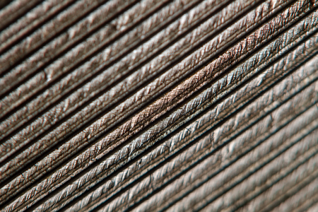 Bird feather background. Macro studio shot.の写真素材