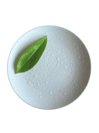 green leaf at plate isolated on white      の写真素材