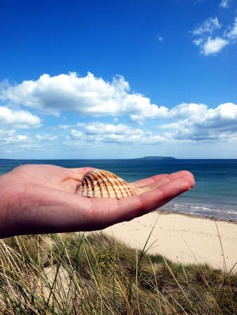 shell at hand on the nature backgroundの写真素材