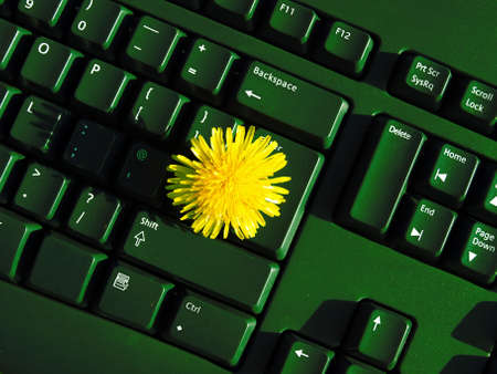 sowthistle on computer keyboardの写真素材