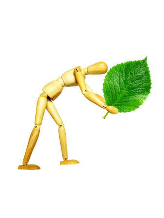 wooden dummy hold a leafの写真素材