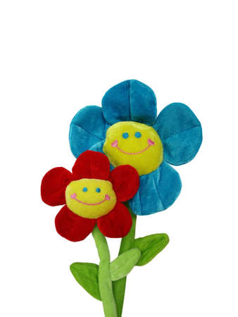 two colorful smiling flowers on white backgroundの写真素材
