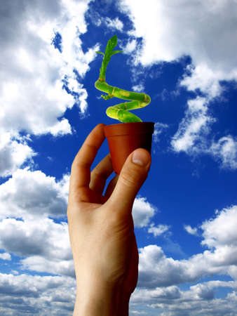 little pot with plant in hand on sky background   の写真素材