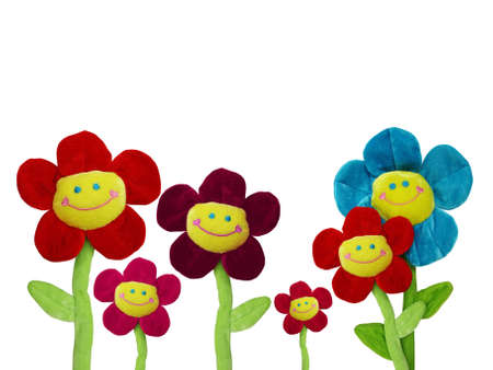 group of smiling flowers on white background        の写真素材
