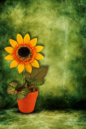 yellow artificial sunflower on dark green backgroundの写真素材