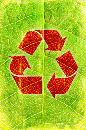  abstract background for conception of ecological recyclingの写真素材