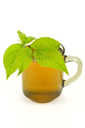 cup with tea and green leaves on white backgroundの写真素材