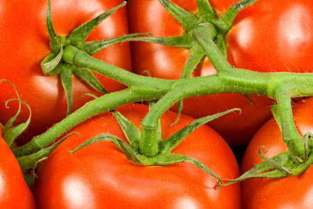  close up of red fresh tomatoes bunchの写真素材